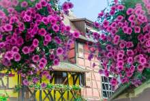 La Charrue à Sand, Hôtel Restaurant Alsace, Bas-Rhin, Jardin